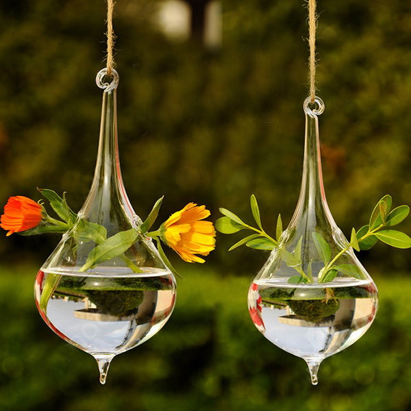 Drop Glass Shaped Terrarium