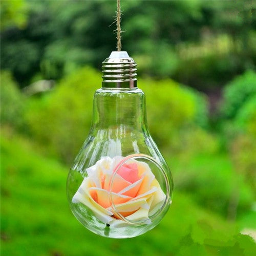Bulb Shape Terrarium